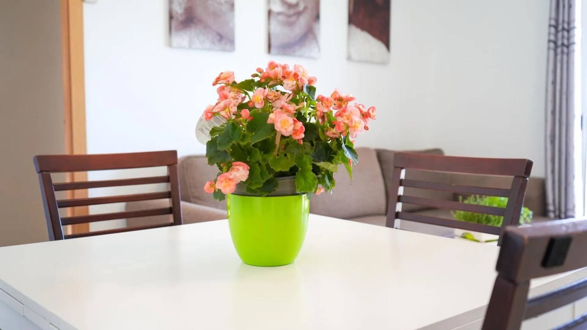 Apartament Lo Cor Del Delta Sant Jaume d'Enveja 0*,  Spain